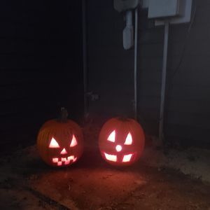 Meet your Posher, Collin